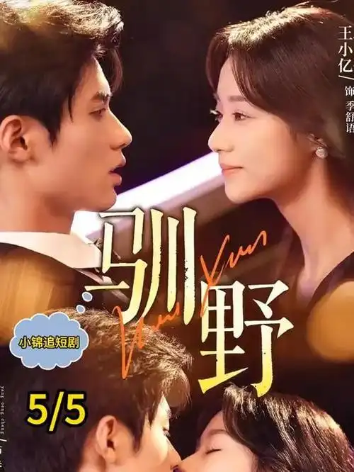 白塔之上 口碑榜第五名
